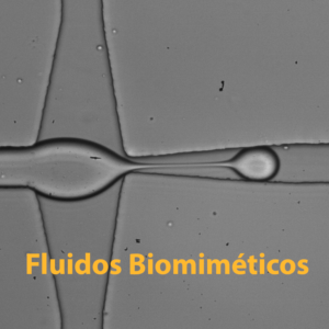 Fluidos Biomimeticos